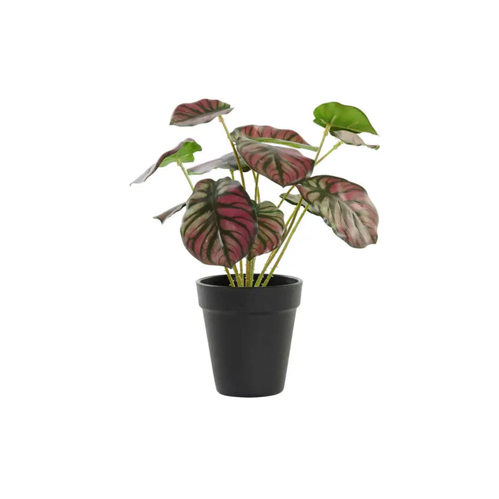 Decorative Plant DKD Home Decor Pink Green PE (10 x 10 x 27 cm) - Декорация и Осветление<<<Дом Градина<<<BigBuy&&&Други