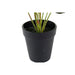 Decorative Plant DKD Home Decor Pink Green PE (10 x 10 x 27 cm) - Декорация и Осветление<<<Дом Градина<<<BigBuy&&&Други