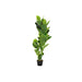 Decorative Plant DKD Home Decor Polyethylene Green 40 x 40 x 120 cm Urban - Декорация и Осветление<<<Дом