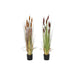 Decorative Plant DKD Home Decor Polyethylene Green Burgundy PVC 40 x 40 x 120 cm Mustard (2 Units) - Декорация и