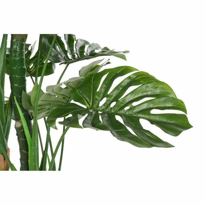 Decorative Plant DKD Home Decor Polypropylene (PP) EVA (90 x 90 x 200 cm) - Декорация и Осветление<<<Дом