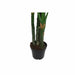 Decorative Plant DKD Home Decor Polypropylene (PP) EVA (90 x 90 x 200 cm) - Декорация и Осветление<<<Дом