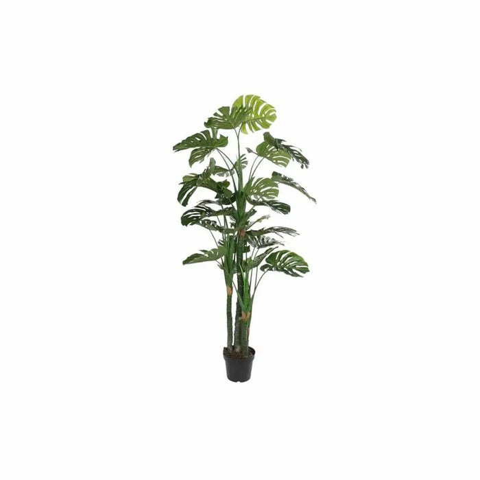 Decorative Plant DKD Home Decor Polypropylene (PP) EVA (90 x 90 x 200 cm) - Декорация и Осветление<<<Дом