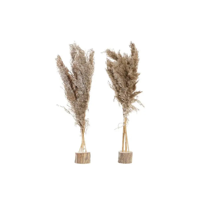 Decorative Plant DKD Home Decor PVC Feathers Natural 35 x 25 x 55 cm (2 Units) - Декорация и Осветление<<<Дом
