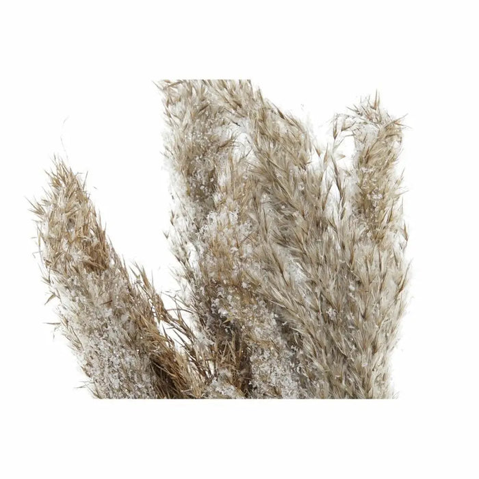 Decorative Plant DKD Home Decor PVC Feathers Natural 35 x 25 x 55 cm (2 Units) - Декорация и Осветление<<<Дом