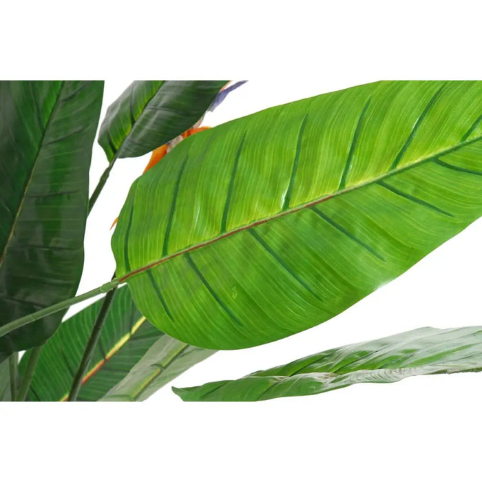 Decorative Plant DKD Home Decor PVC Plastic 100 x 100 x 145 cm - Декорация и Осветление<<<Дом Градина<<<BigBuy&&&Други
