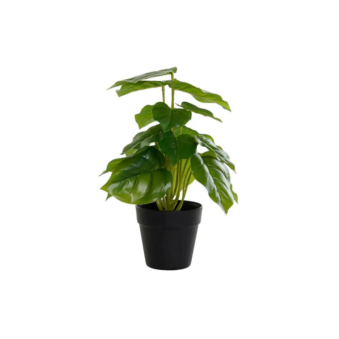 Decorative Plant DKD Home Decor PVC polypropylene 20 x 20 x 30 cm - Декорация и Осветление<<<Дом