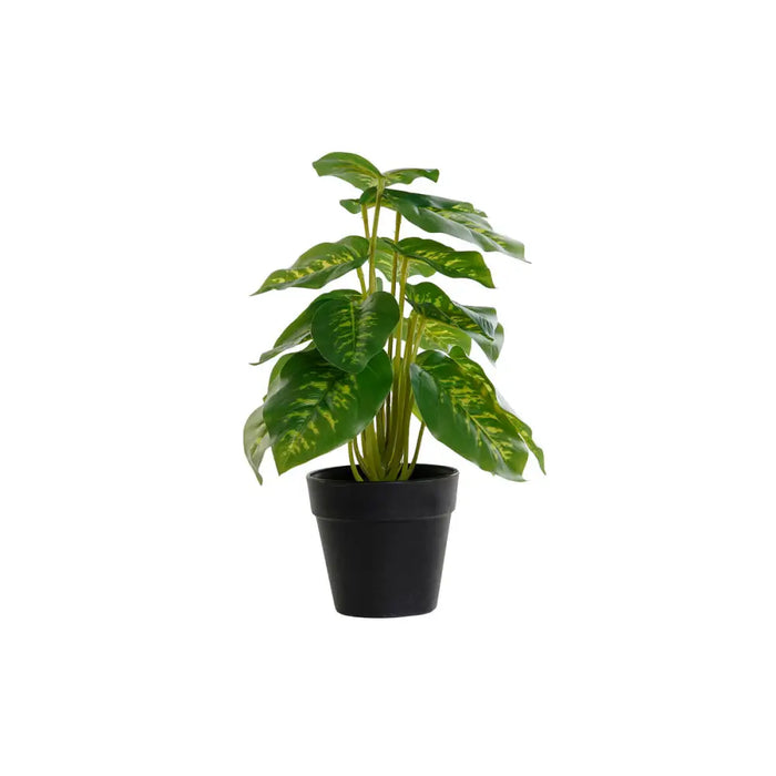 Decorative Plant DKD Home Decor PVC polypropylene 20 x 20 x 30 cm - Други артикули за декорация<<<Декорация и