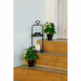 Decorative Plant DKD Home Decor PVC polypropylene 20 x 20 x 30 cm - Други артикули за декорация<<<Декорация и