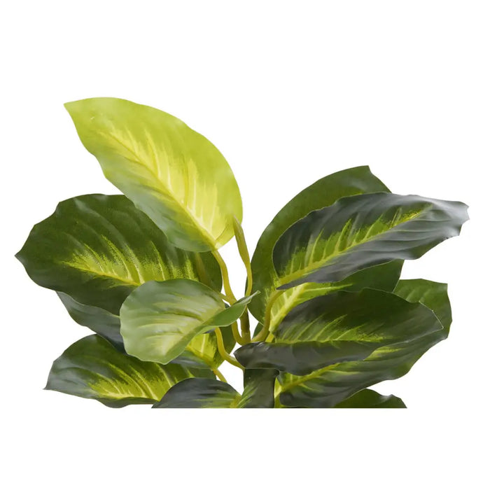 Decorative Plant DKD Home Decor PVC polypropylene 25 x 25 x 30 cm - Декорация и Осветление<<<Дом