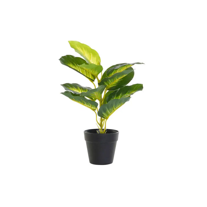 Decorative Plant DKD Home Decor PVC polypropylene 25 x 25 x 30 cm - Декорация и Осветление<<<Дом