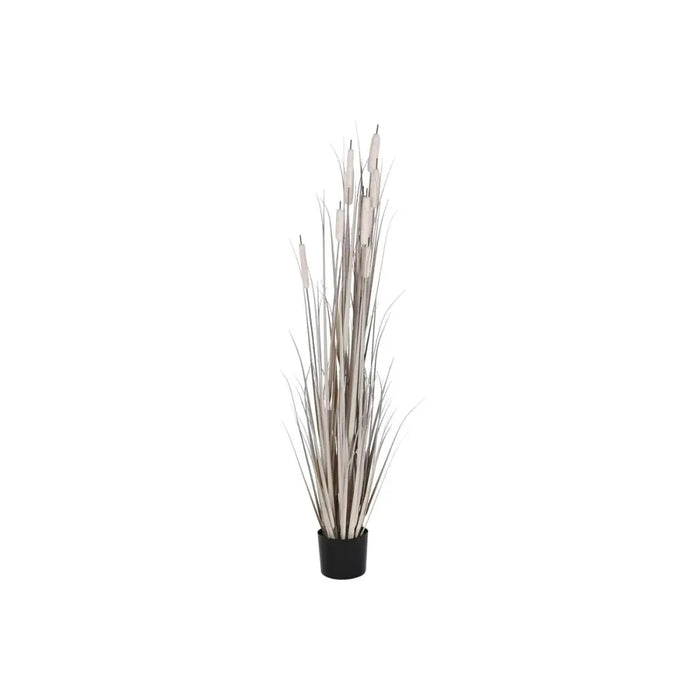Decorative Plant DKD Home Decor Rushes (45 x 45 x 150 cm) - Декорация и Осветление<<<Дом Градина<<<BigBuy&&&Други