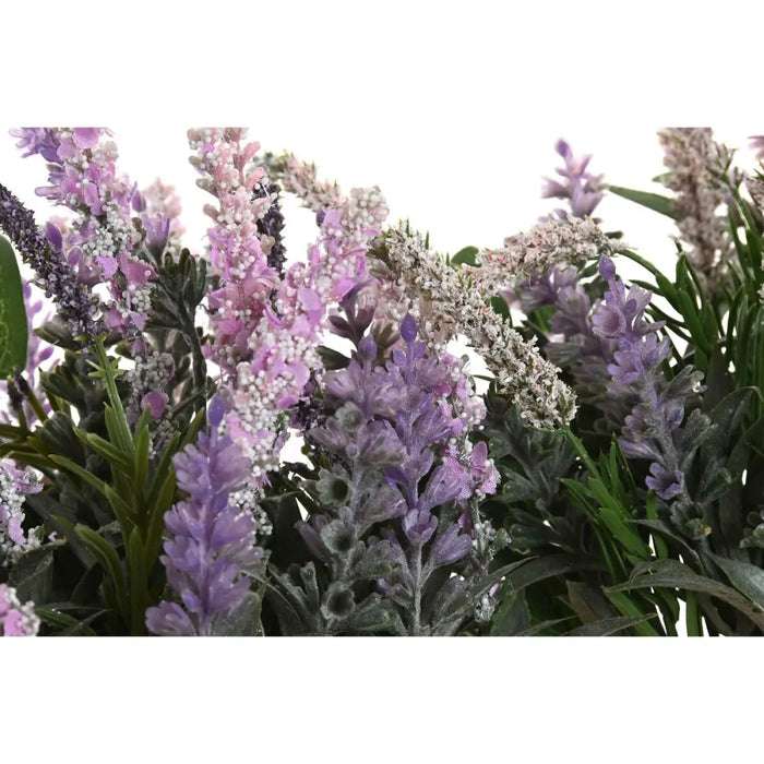 Decorative Plant Home ESPRIT Ceramic Polyethylene (2 Units) - Декорация и Осветление<<<Дом Градина<<<BigBuy&&&Други