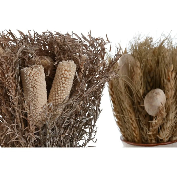 Decorative Plant Home ESPRIT Flower 13 x 13 x 25 cm (2 Units) (12 Units) - Декорация и Осветление<<<Дом