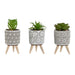 Decorative Plant Home ESPRIT Polyethylene Cement 6,5 x 6,5 x 11 cm (3 Units) - Декорация и Осветление<<<Дом