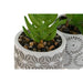 Decorative Plant Home ESPRIT Polyethylene Cement 6,5 x 6,5 x 11 cm (3 Units) - Декорация и Осветление<<<Дом