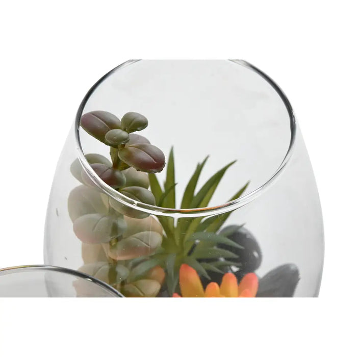 Decorative Plant Home ESPRIT PVC Crystal 10 x 10 x 15 cm (2 Units) - Декорация и Осветление<<<Дом