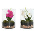 Decorative Plant Home ESPRIT PVC Crystal 15 x 15 x 20 cm (2 Units) - Декорация и Осветление<<<Дом