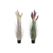 Decorative Plant Home ESPRIT PVC Polyethylene 45 x 45 x 150 cm (2 Units) - Декорация и Осветление<<<Дом