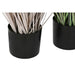 Decorative Plant Home ESPRIT PVC Polyethylene 45 x 45 x 150 cm (2 Units) - Декорация и Осветление<<<Дом