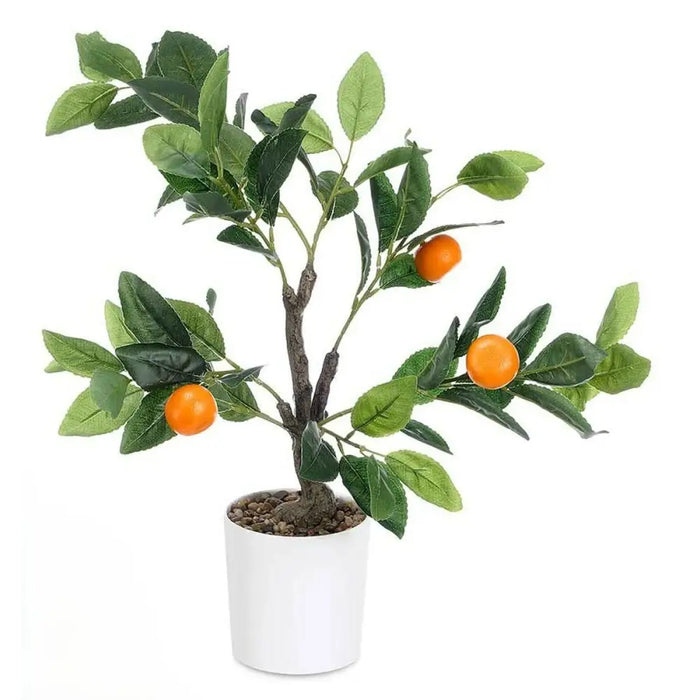 Decorative Plant Ibergarden Foam Polyethylene Melamin 40 x 58 x 38 cm (6 Units) - Декорация и Осветление<<<Дом