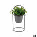 Decorative Plant Ibergarden Metal Plastic Sheets Circular 21 x 30 x 21 cm (8 Units) - Декорация и Осветление<<<Дом