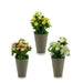 Decorative Plant Ibergarden Plastic 11 x 22 x 11 cm - Декорация и Осветление<<<Дом Градина<<<BigBuy&&&Други артикули за