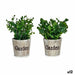 Decorative Plant Ibergarden Plastic 16 x 22 x 16 cm (12 Units) - Декорация и Осветление<<<Дом Градина<<<BigBuy&&&Други