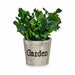 Decorative Plant Ibergarden Plastic 16 x 22 x 16 cm (12 Units) - Декорация и Осветление<<<Дом Градина<<<BigBuy&&&Други