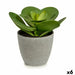Decorative Plant Ibergarden Plastic 18 x 18,5 x 18 cm (6 Units) - Декорация и Осветление<<<Дом Градина<<<BigBuy&&&Други