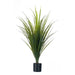 Decorative Plant Ibergarden Plastic 60 x 95 x 60 cm (6 Units) - Други артикули за декорация<<<Декорация и