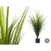 Decorative Plant Ibergarden Plastic 60 x 95 x 60 cm (6 Units) - Други артикули за декорация<<<Декорация и