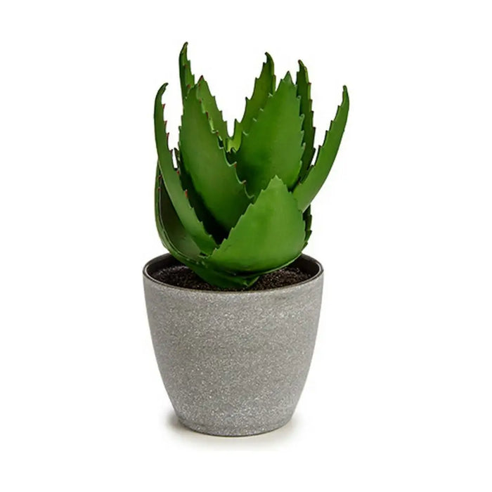 Decorative Plant Ibergarden Plastic Aloe Vera 15 x 23,5 x 15 cm (6 Units) - Декорация и Осветление<<<Дом