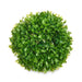 Decorative Plant Ibergarden Plastic Ball 17 x 13,5 x 17 cm (12 Units) - Декорация и Осветление<<<Дом