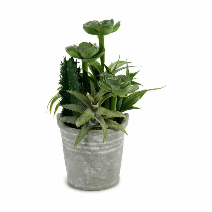 Decorative Plant Ibergarden Plastic Cement 15 x 24 x 15 cm (12 Units) - Декорация и Осветление<<<Дом