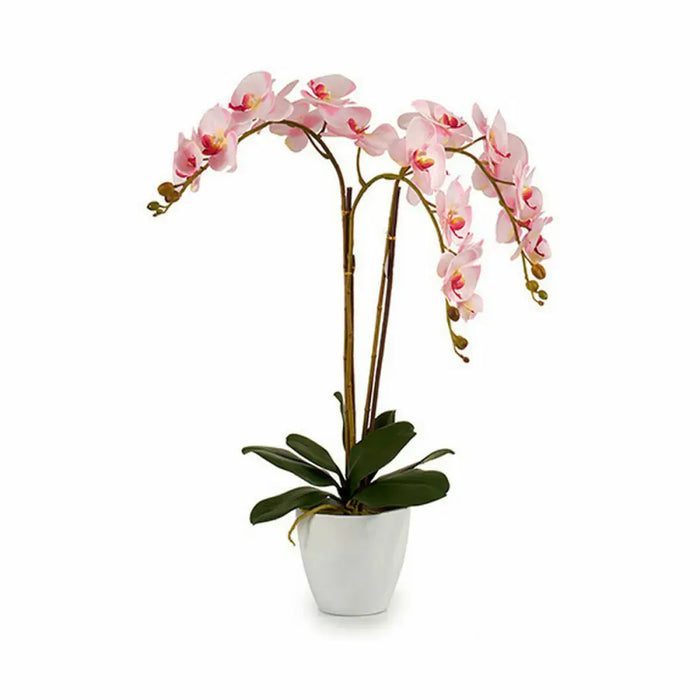 Decorative Plant Ibergarden Plastic Orchid 40 x 77 x 35 cm 40 x 78 x 35 cm 40 x 78 x 44 cm (2 Units) - Декорация и