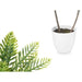 Decorative Plant Ibergarden Plastic Palm tree 36 x 55,5 x 24 cm 15 x 60 x 15 cm (6 Units) - Декорация и