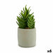 Decorative Plant Ibergarden Plastic Succulent 12 x 24 x 12 cm (6 Units) - Декорация и Осветление<<<Дом