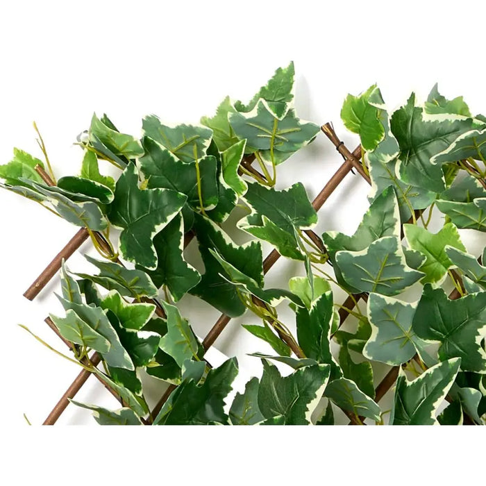 Decorative Plant Ibergarden Polyethylene PEVA 180 x 2 x 90 cm 30 x 180 x 35 cm 35 x 120 x 8 cm 35 x 180 x 40 cm (8