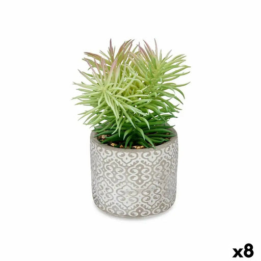 Decorative Plant Ibergarden Wood Polyethylene Plastic Cement Succulent 12 x 22 x 12 cm (8 Units) - Декорация и