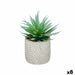 Decorative Plant Ibergarden Wood Polyethylene Plastic Cement Succulent 17 x 21 x 17 cm (8 Units) - Декорация и