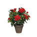 Decorative Plant Mica Decorations 10,5 x 21,5 x 15 cm Azalea - Декорация и Осветление<<<Дом Градина<<<BigBuy&&&Други