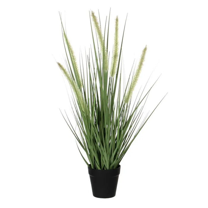 Decorative Plant Mica Decorations Dogtail PVC - Декорация и Осветление<<<Дом Градина<<<BigBuy&&&Други артикули за