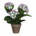Decorative Plant Mica Decorations Magnolia 35 x 40 cm - Декорация и Осветление<<<Дом Градина<<<BigBuy&&&Други артикули
