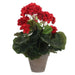 Decorative Plant Mica Decorations PVC 11,5 x 33 cm - Декорация и Осветление<<<Дом Градина<<<BigBuy&&&Други артикули за
