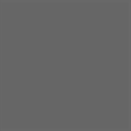 EXTRA ALKYD PAINT 650 ML RAL 7046 DEKORATOR