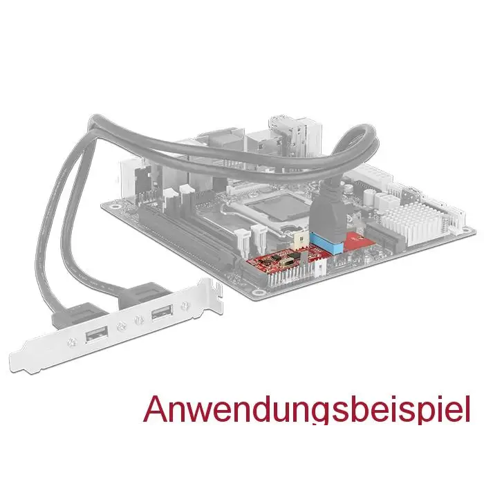 Delock adapter M.2 Key B + M male to 1 x USB 5 Gbps Pin Header - Входно-изходни контролери<<<Компютърни