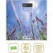 Digital Bathroom Scales Little Balance LITTLE BALANCE - Баня<<<Дом Градина<<<BigBuy&&&Кантари за баня<<<Баня<<<Дом