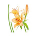 DISNEY STICKER 65X85CM./1 PART LILY - Стикери<<<Декорации<<<Мебели и интериор<<<Praktiker