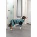 Dog bathrobe Trixie Blue XS - Домашни Животни<<<Дом Градина<<<BigBuy&&&Здраве и хигиена<<<Домашни Животни<<<Дом